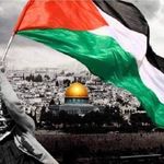 Alaa Jawad Wadi - @alaa.alo2a - Instagram