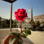 Alaa Youssef - @alaa_yousuf_ - Instagram