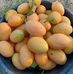 Alaaeldin Elsayed - Facebook