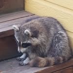 Alain Audet - @alaudet16 - Instagram