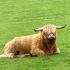 Alain Audet - @alain.audet967 - TikTok