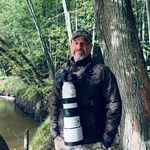 Alain Bergeron - @alain_oiseau - Instagram
