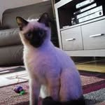 Alain Bergeron - @alain6932 - Instagram