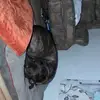 alain bergeron - @alain.bergeron8 - TikTok