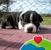 Alain Bilodeau - Facebook
