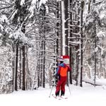 Alain Bisson - @albisson - Instagram