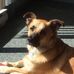 Alain Bissonnette - Facebook