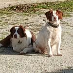 Alain Borderie - @borderiealain - Instagram