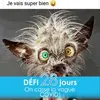 Alain Boucher549 - @alainboucher0068 - TikTok