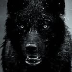 Alain Boucher - @boucher3088 - Instagram