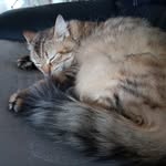 Alain Boucher - @alain.boucher.7146 - Instagram