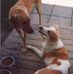 Alain Boucher - Facebook