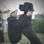 Alain Boucher - @alainboucher5 - Instagram