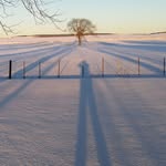 Alain Bourassa - @alain.bourassa.716 - Instagram