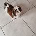 Alain Bourdeau - Facebook