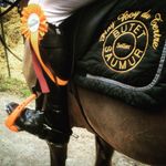 Ecurie Alain & Mathieu Bourdon - @ecuriebourdon - Instagram