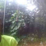 Alain Boyer - @alain.boyer97417 - Instagram