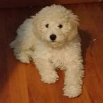 Brayan Cardenas - @brayan.alain.cardenas260509 - Instagram