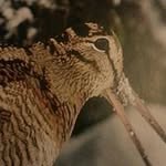 Butturini - @alain.butturini - Instagram