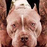 Alain Castillo - @alain1castillo - Instagram