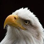 Alain Chartier - Facebook