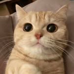 Alain Chua - @alainchua - Instagram