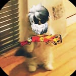 Alain Cid - @alvencito__2010 - Instagram