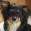 Alain Clément - @alain.clment - TikTok