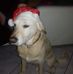 Alain Coll - Facebook