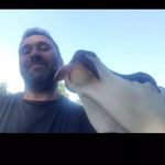 Davy Alain - @alain.davy - Instagram