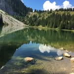 Alain Duquesne - @alain.duquesne.7 - Instagram
