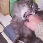 Alain Gérard - @alain.gerard.100046 - Instagram