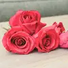 Alain Gerard - @alain.gerard1 - TikTok