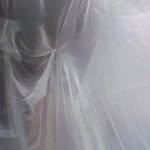 Alain Ilunga - @alain.ilunga.963 - Instagram