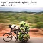 Alain Jacques - @alain.jacques.397948 - Instagram