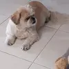 Alain Jacques - @alain.jacques - TikTok