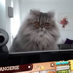 Alain Klein - @alain.klein.5 - Instagram