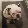 Alain Klein - @user69504972 - TikTok