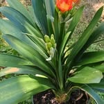 Alain Marty - @alain6971 - Instagram
