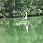 Alain Morin - @morinalain74 - Instagram