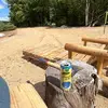 Alain Morin - @alain.morin - TikTok