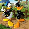 Alain Morin - @alain.morin49 - TikTok