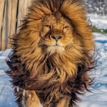 Alain Perron - @alain.perron.549 - Instagram