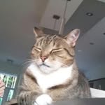 Alain Perron - @alain_perron - Instagram