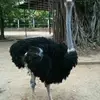 alainphanng - @alainphanng - TikTok