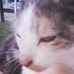 Alain Philippe - Facebook