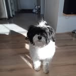 Alain Pilon - @alain.pilon.334 - Instagram