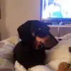 Alain Delaplace - @alain.delaplace - TikTok