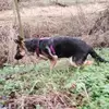 Alain Laplace - @alain.laplace - TikTok