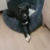 Alain Desplanches - @alain.desplanches5 - TikTok